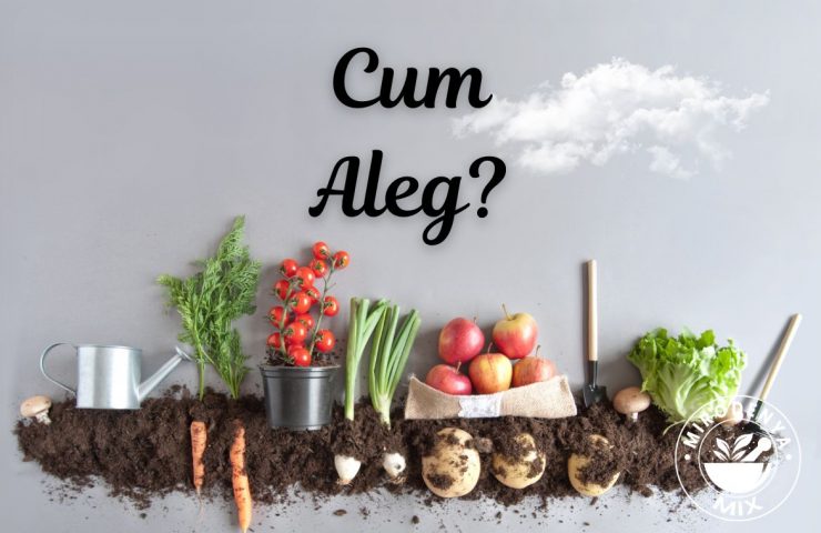 Cum alegi cele mai bune fructe și legume deshidratate